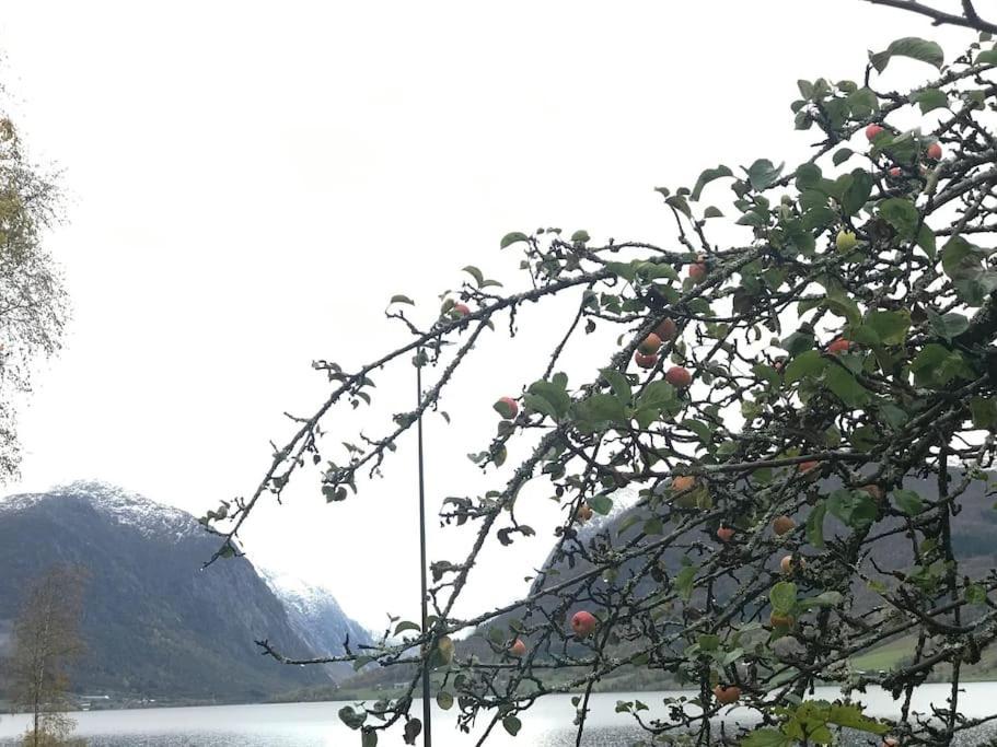 Apartment With Lake View In Jolster Årdal Exteriör bild